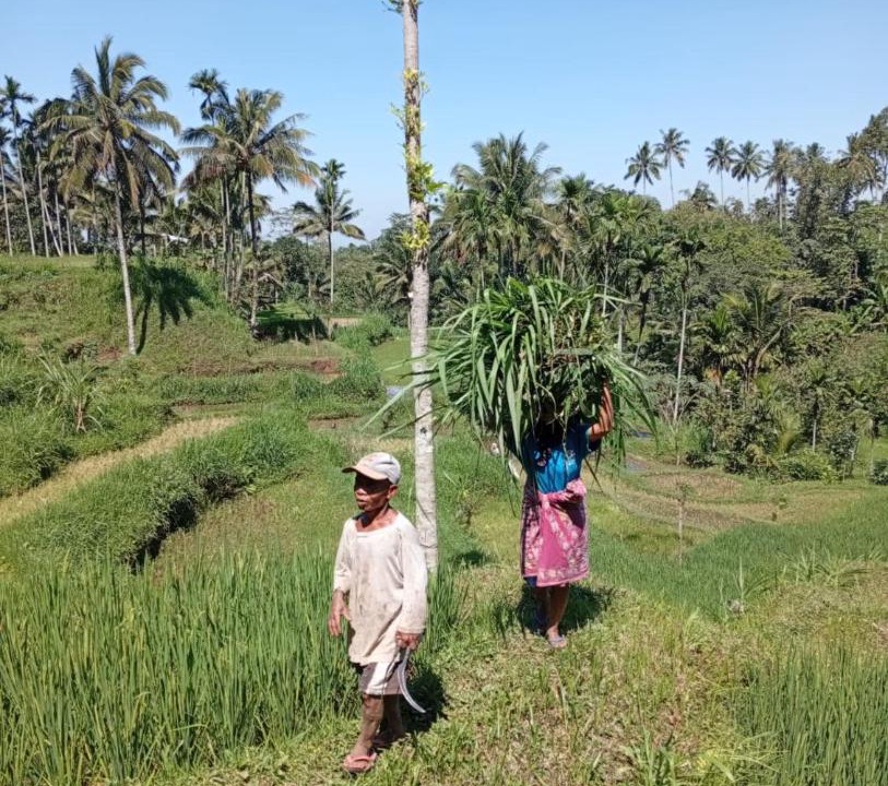 Photo of Others in Tetebatu