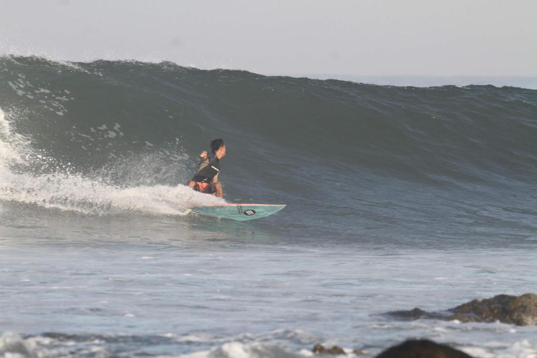 Photo of Others in Medewi