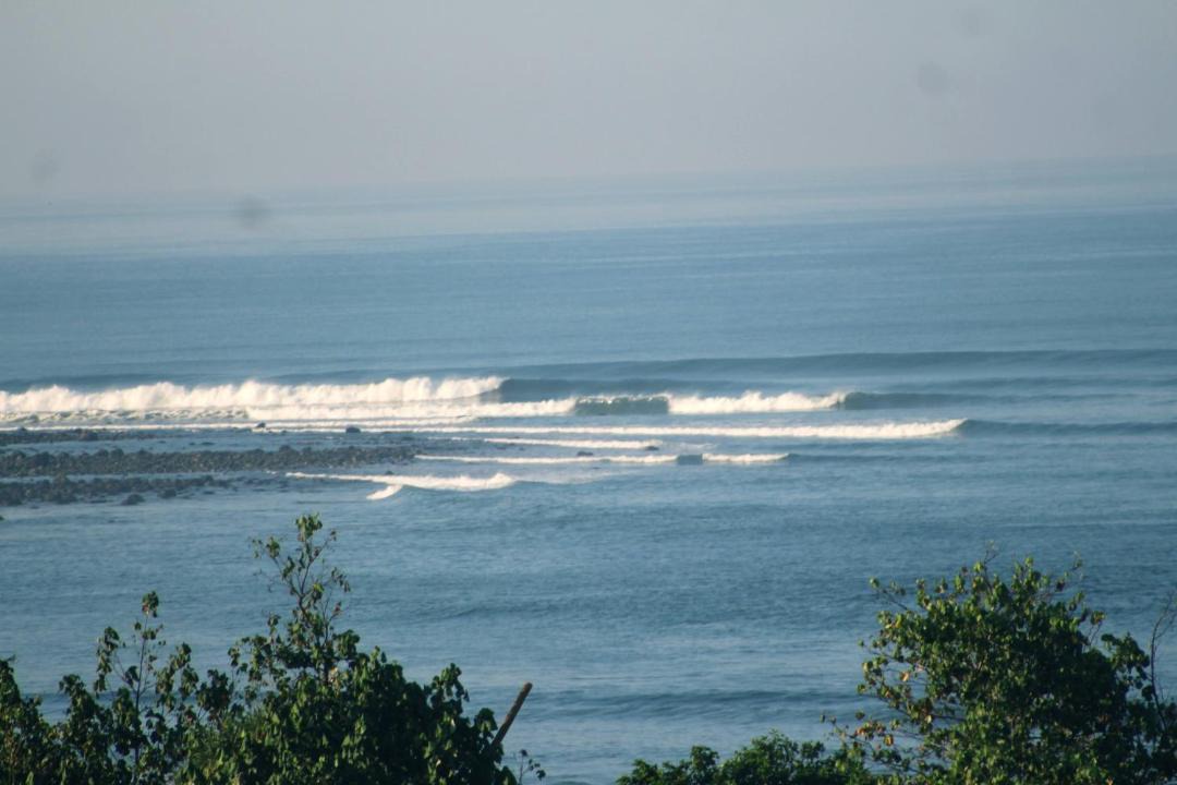 Photo of Others in Medewi