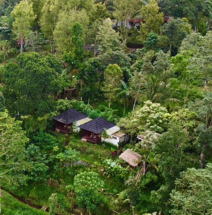Photo of Others in Tetebatu