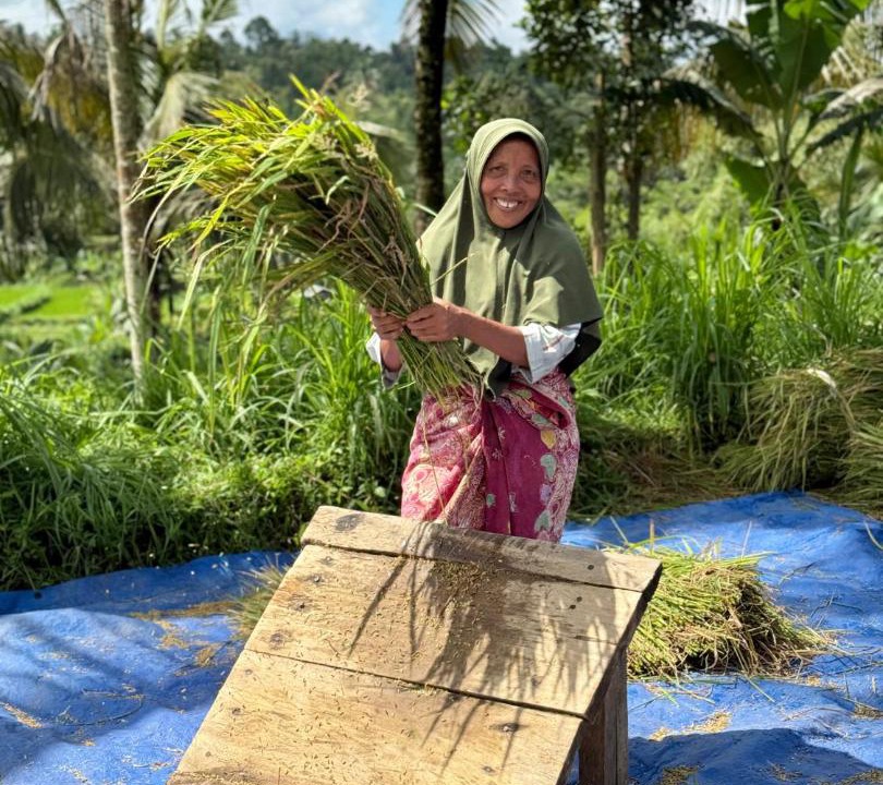 Photo of Others in Tetebatu