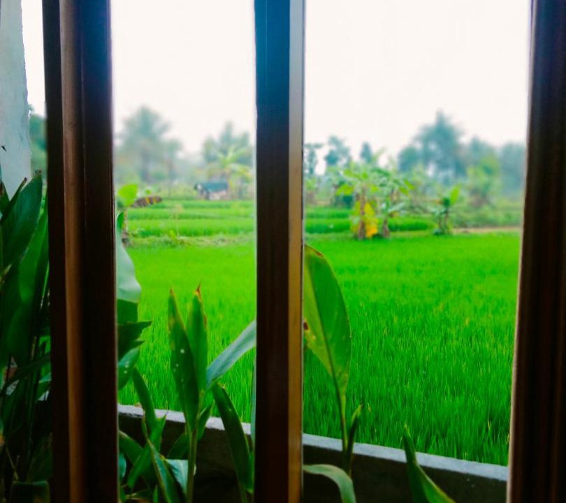 Photo of Others in Kecamatan Sikur