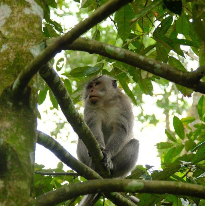 Photo of Others in Kecamatan Pringgasela