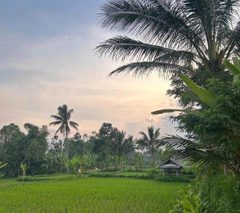 Photo of Others in Kecamatan Pringgasela
