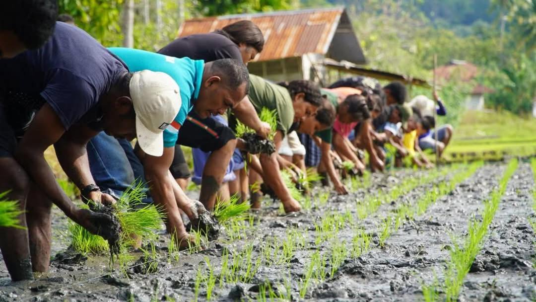 Photo of Others in Watublapi