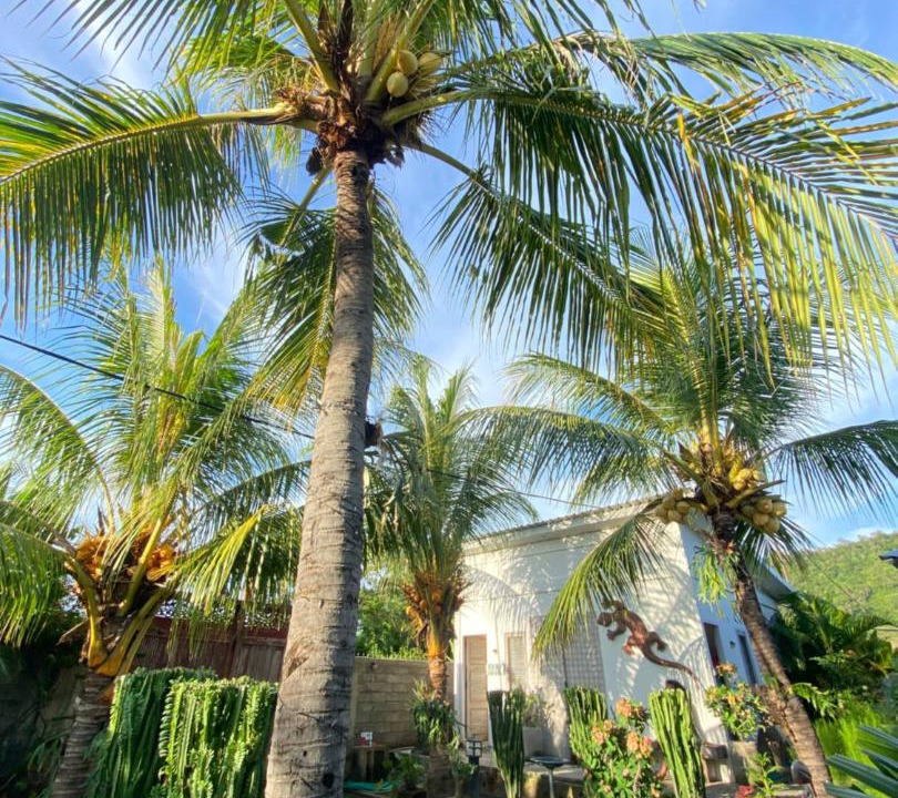 Photo of Others in Hu'u