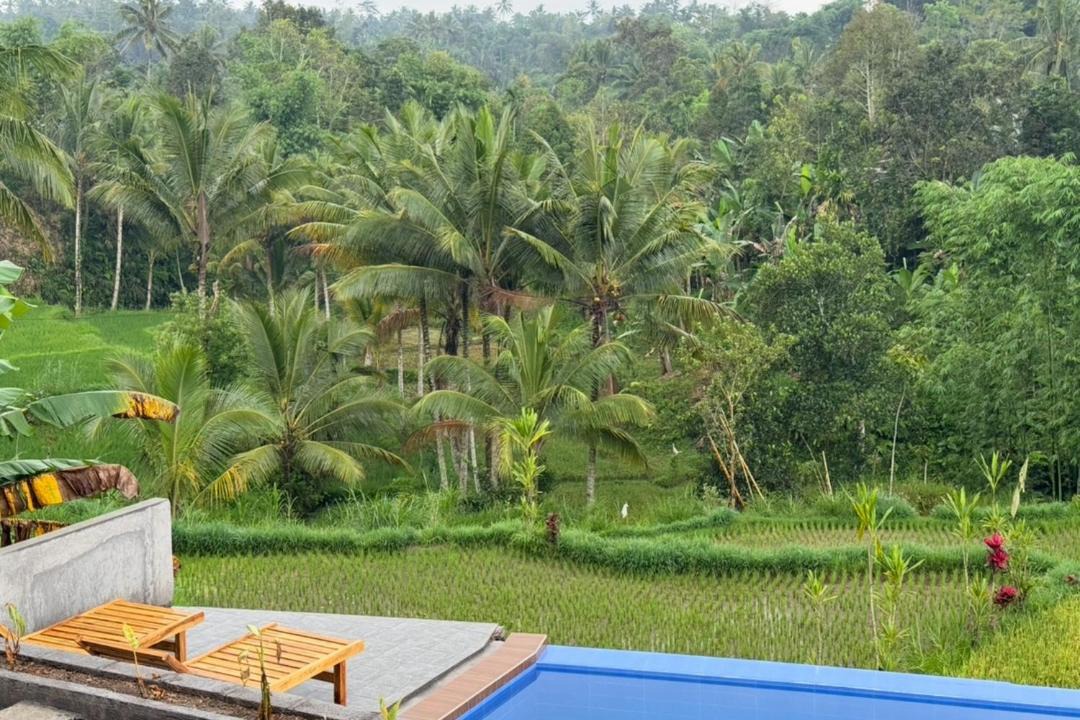 Photo of Others in Tetebatu