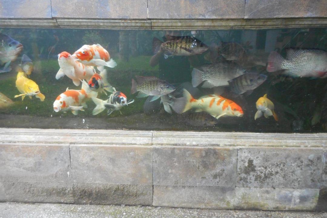 Photo of Others in Besakih