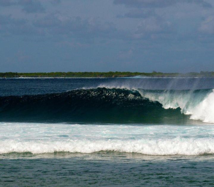 Photo of Others in Rote Island