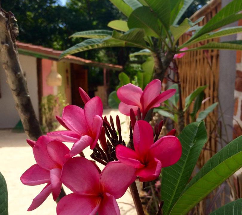 Photo of Others in Gili Air
