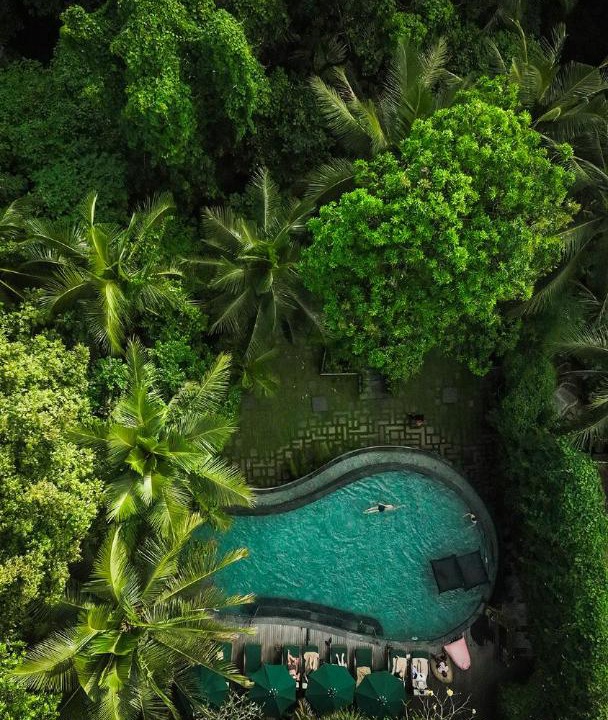 Photo of Others in Ubud