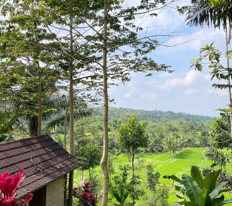 Photo of Others in Tetebatu