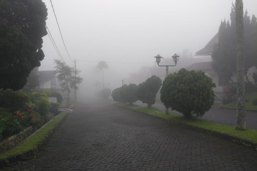 Photo of Others in Cipanas