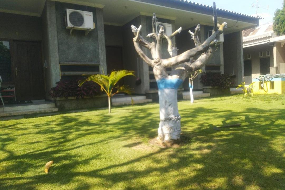 Photo of Others in Probolinggo