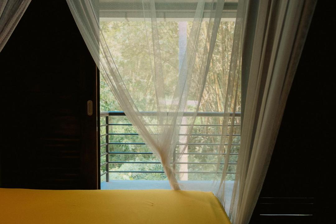 Photo of Others in Bukit Lawang