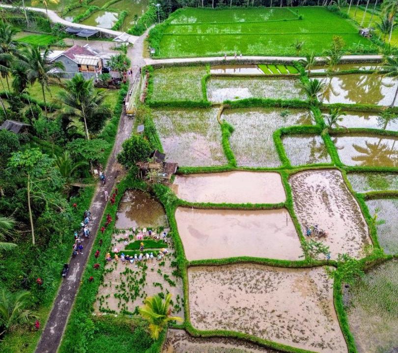 Photo of Others in Tetebatu