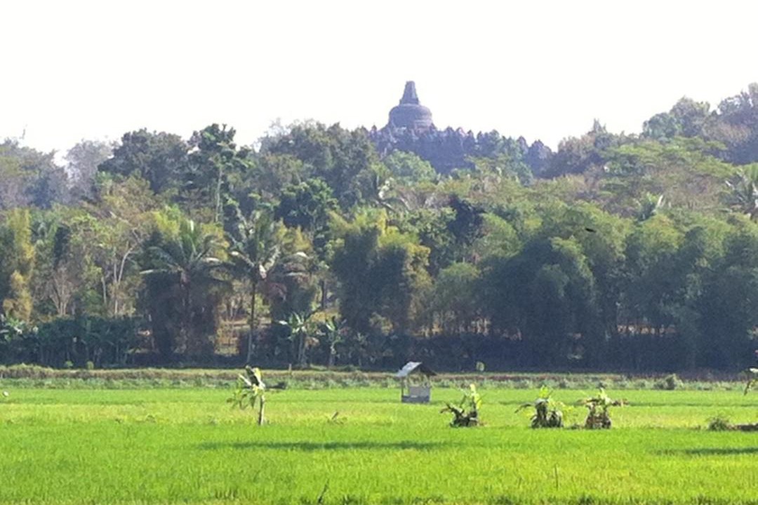 Photo of Others in Borobudur