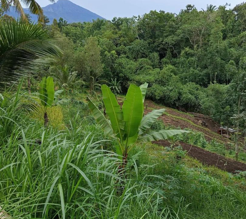 Photo of Others in Tetebatu