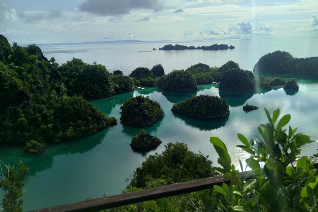 Photo of Others in Pianemo Islands