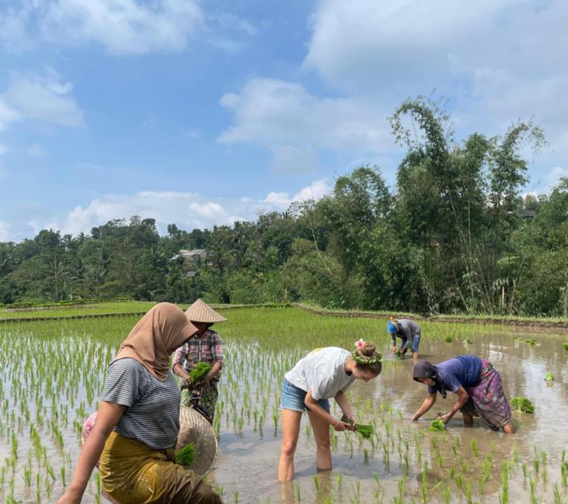 Photo of Others in Tetebatu