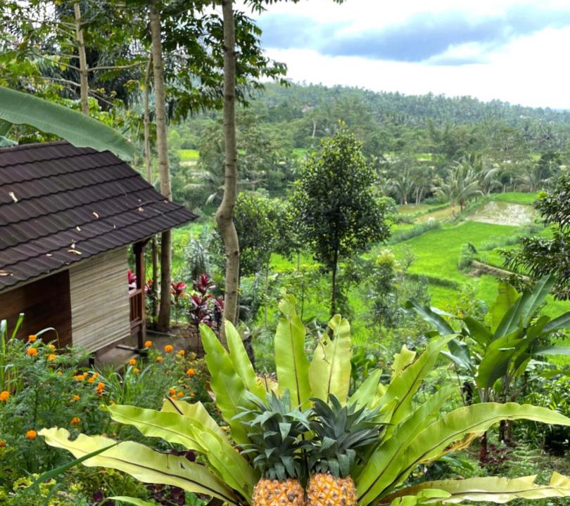 Photo of Others in Tetebatu