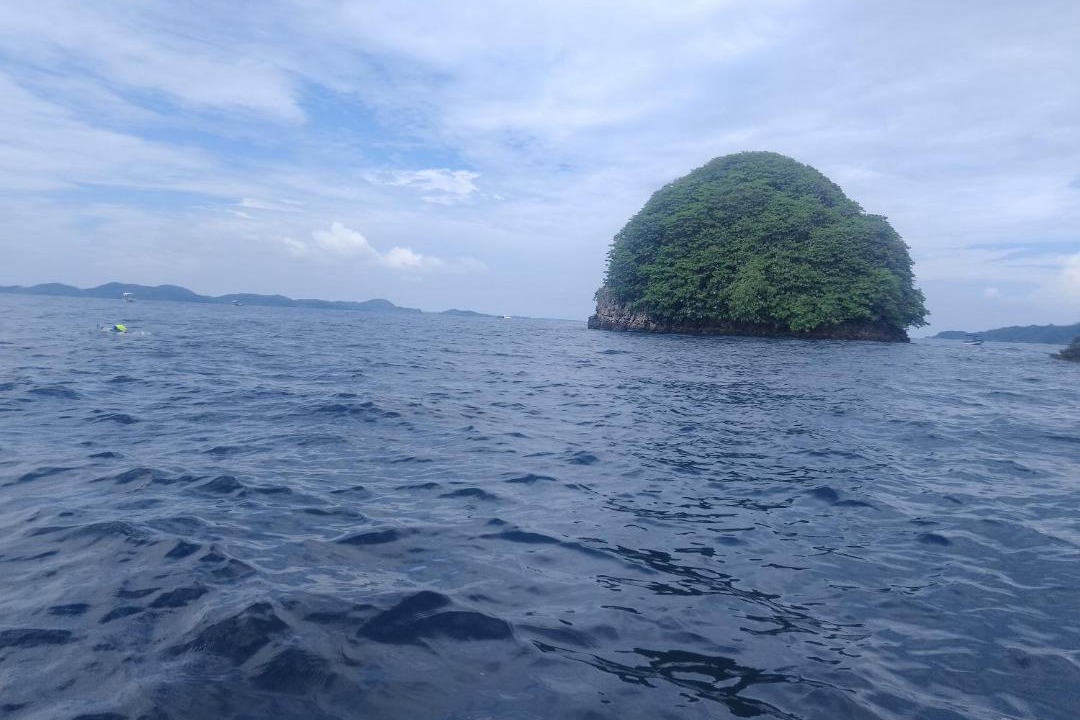 Photo of Others in Pianemo Islands