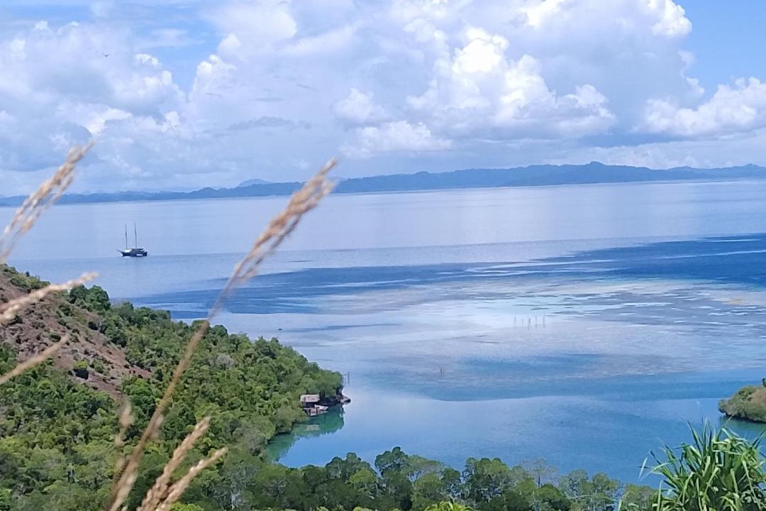 Photo of Others in Pianemo Islands