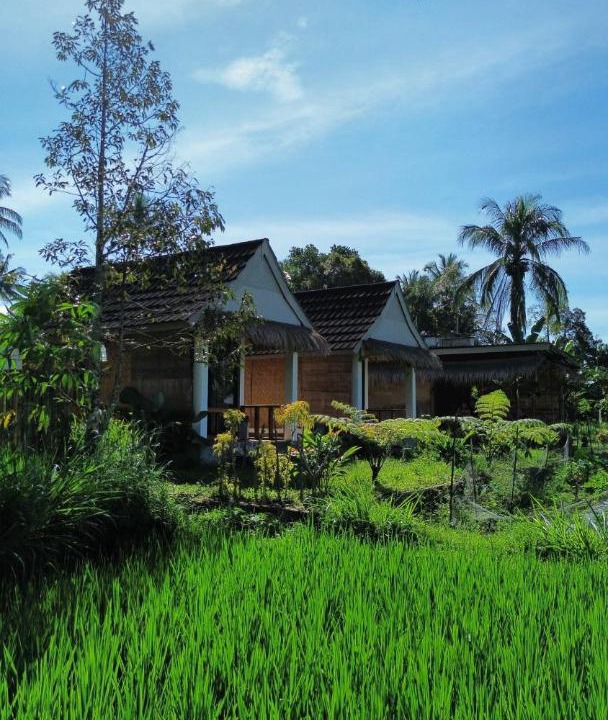 Photo of Others in Tetebatu