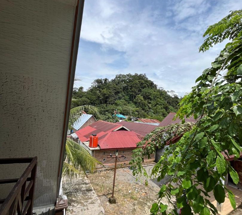 Photo of Others in Bukit Lawang