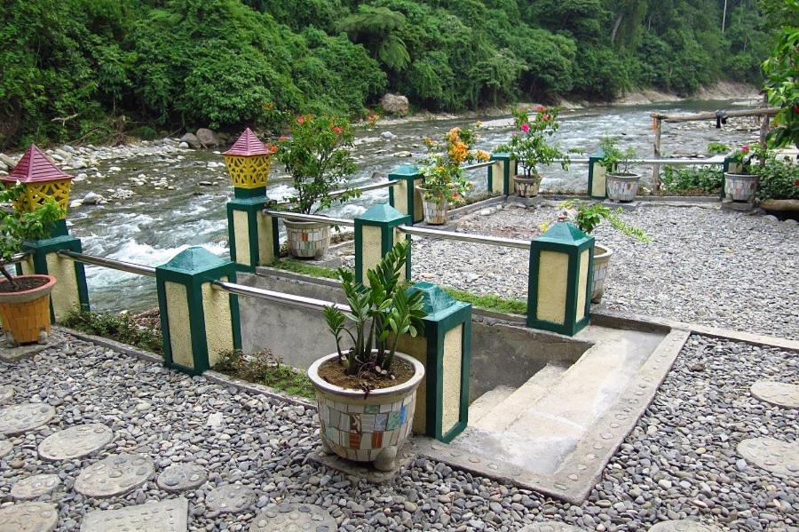 Photo of Others in Bukit Lawang