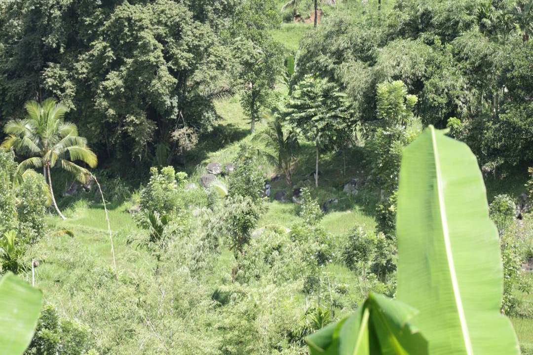 Photo of Others in Tetebatu