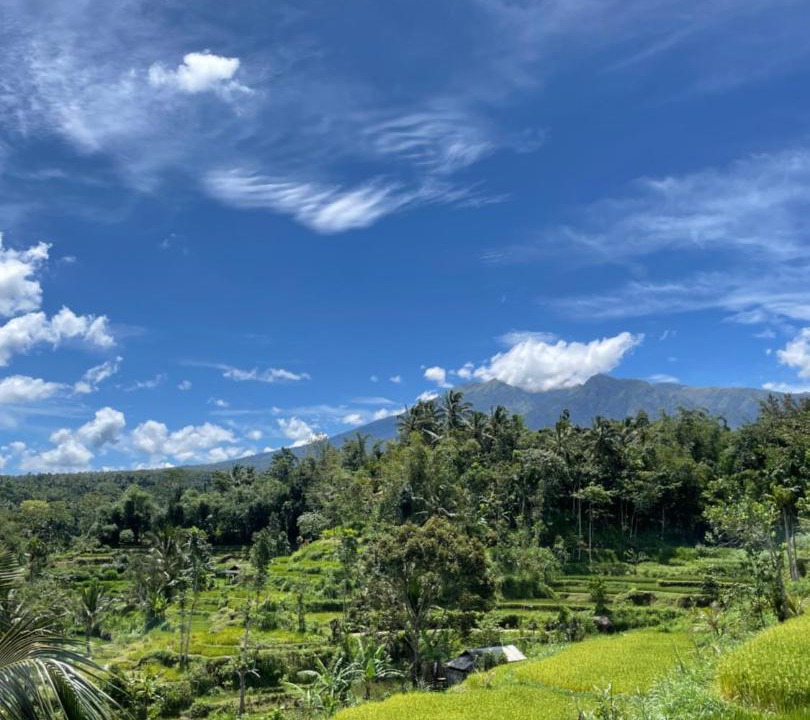 Photo of Others in Tetebatu