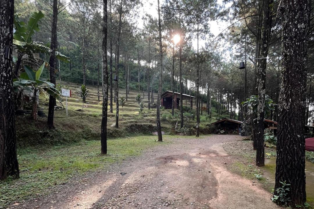 Photo of Others in Pacet