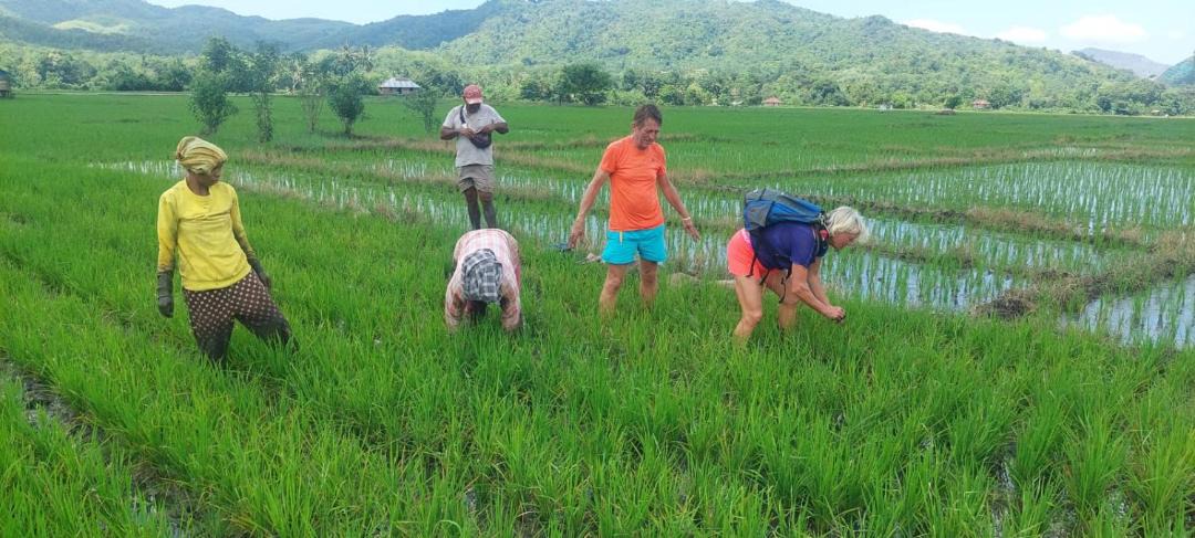 Photo of Others in Labuan Bajo