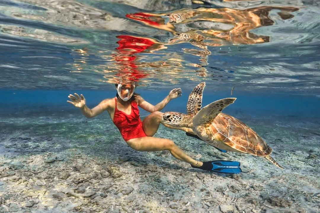 Photo of Others in Gili Air