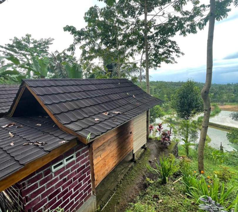 Photo of Others in Tetebatu