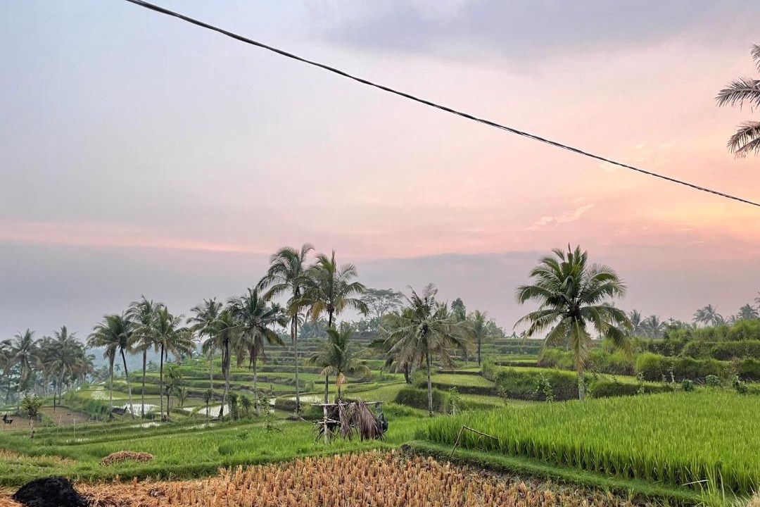 Photo of Others in Tetebatu