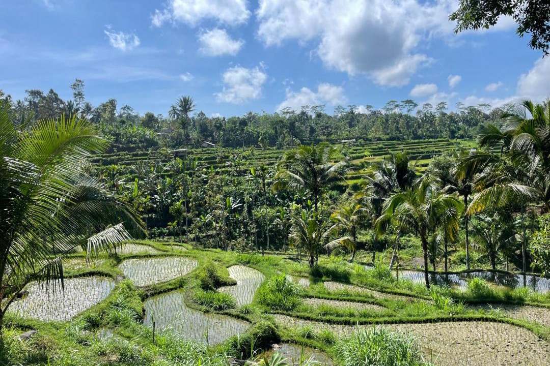 Photo of Others in Tetebatu