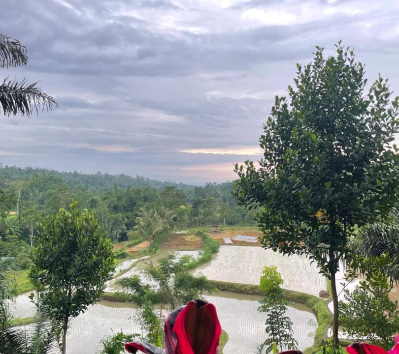 Photo of Others in Tetebatu