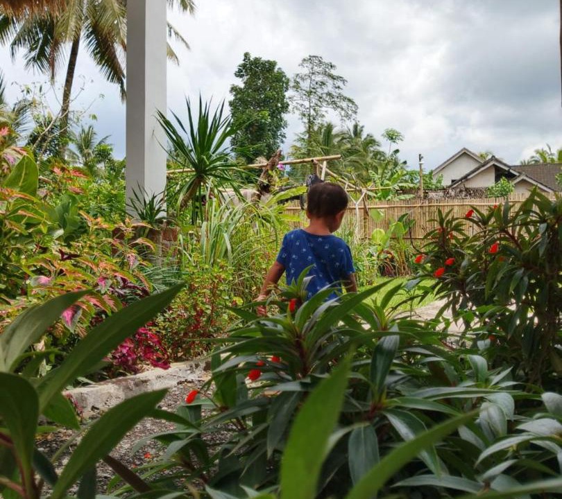 Photo of Others in Tetebatu
