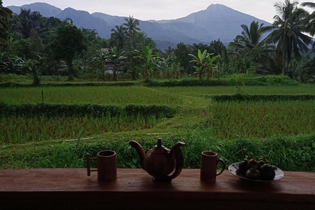 Photo of Others in Tetebatu