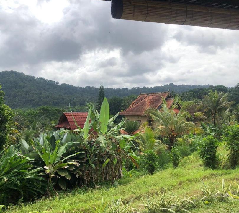 Photo of Others in Sidemen