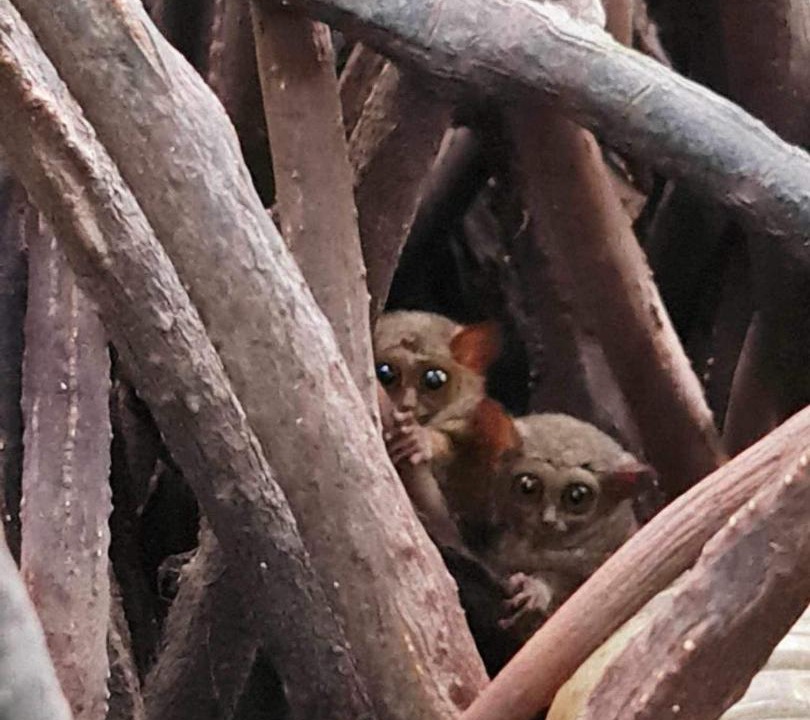 Photo of Others in Manado