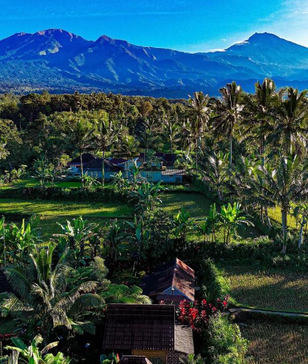 Photo of Others in Tetebatu