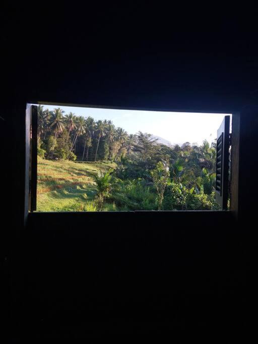 Photo of Others in East Selemadeg
