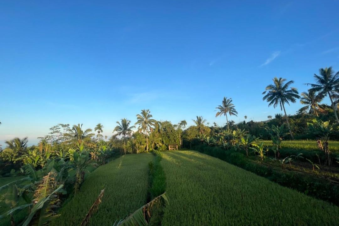 Photo of Others in Kecamatan Pringgasela