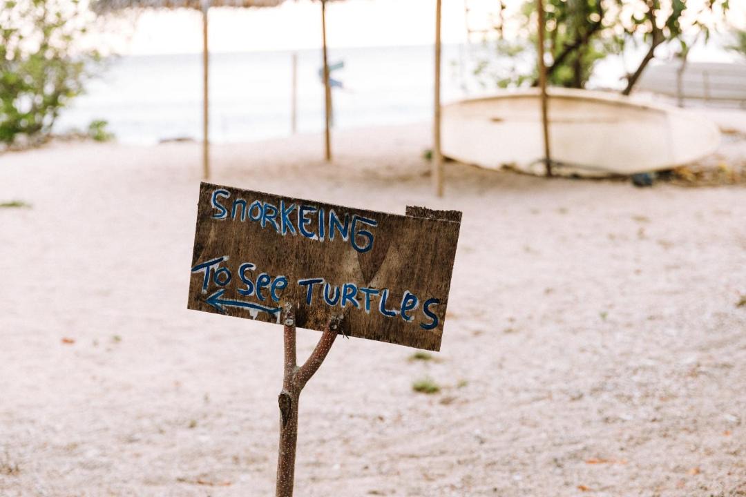 Photo of Others in Gili Meno