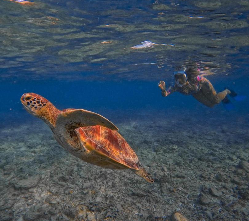 Photo of Others in Gili Air