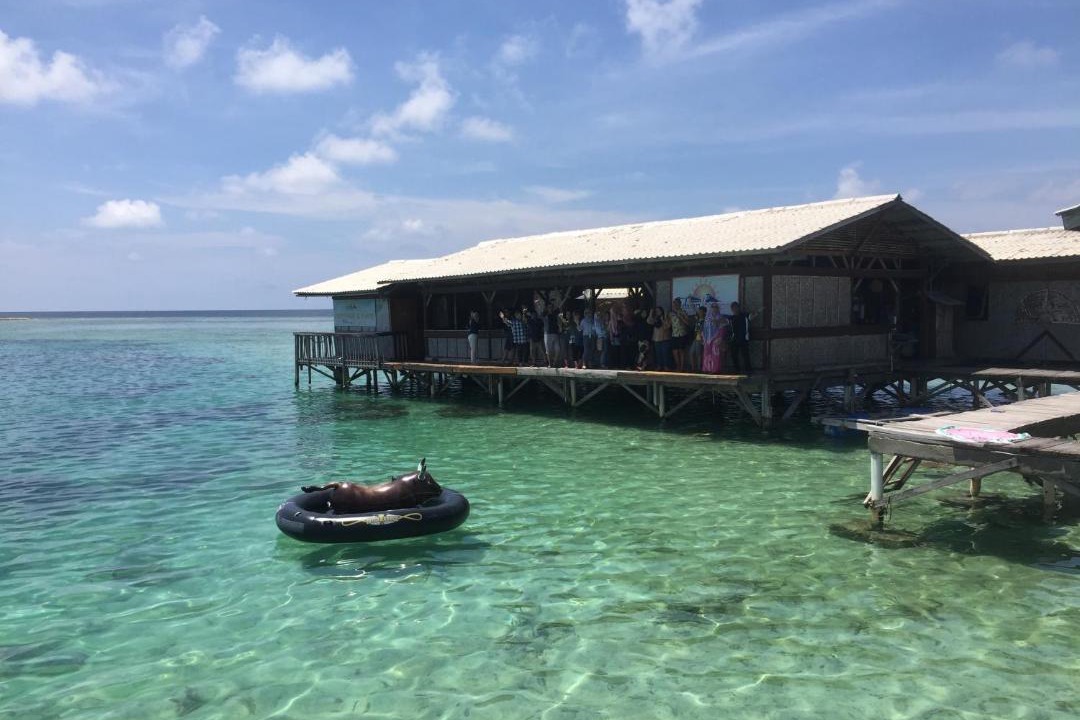 Photo of Others in Thousand Islands