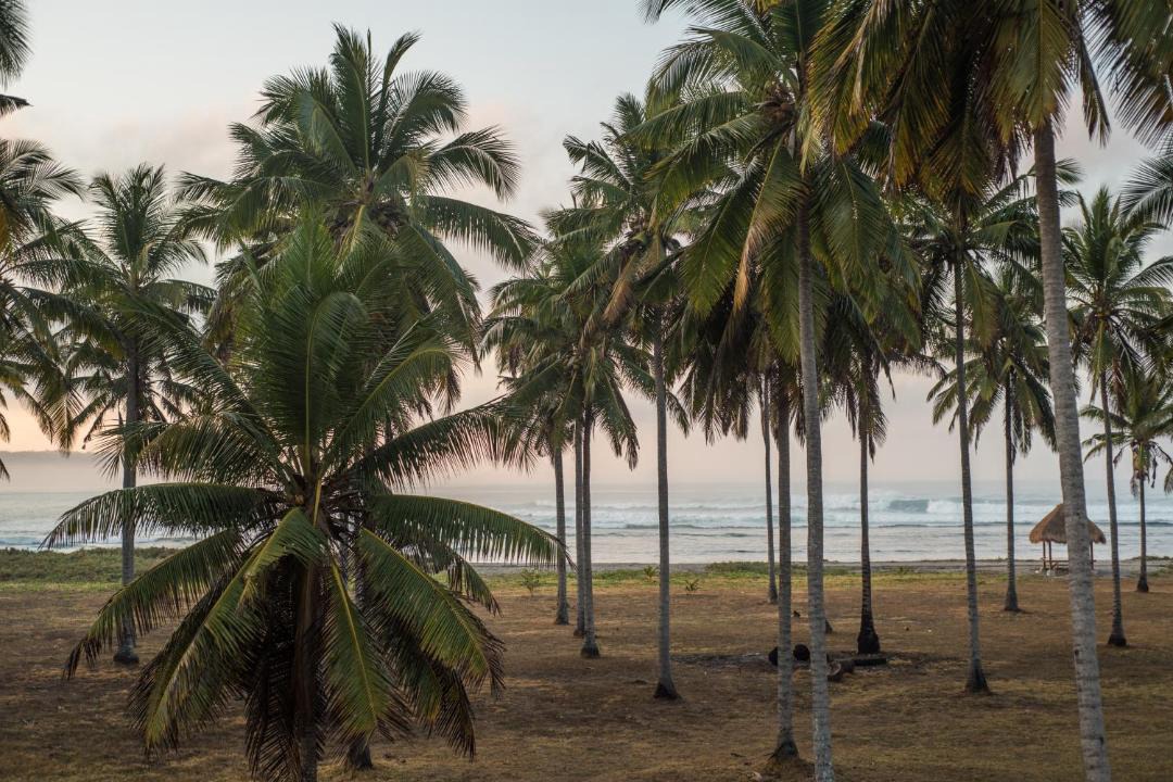 Photo of Others in Nihiwatu